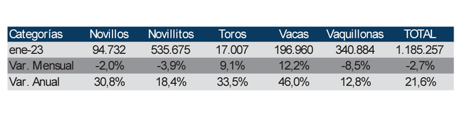 Faena bovina enero de 2023, en base a datos reportados por la DNCCA.