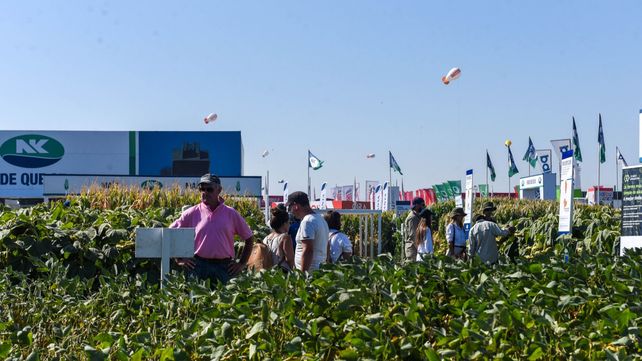 La industria semillera avanza con tecnologías para enfrentar la variabilidad climática. Hubo ofertas de precampaña para ir por la revancha.