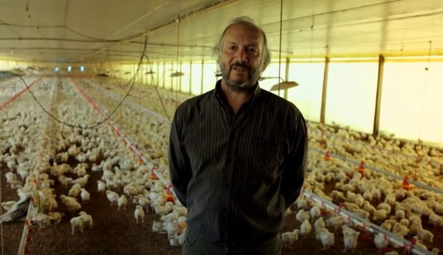 Producción. La avicultura es parte de la identidad de la localidad entrerriana de Crespo.