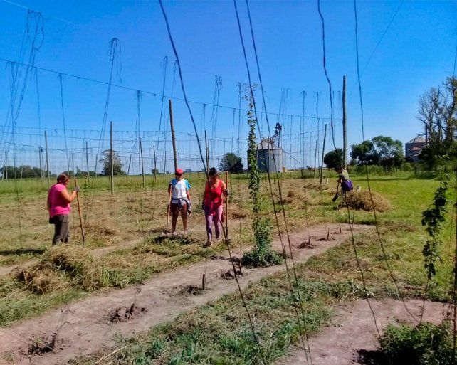 En Casalegno un grupo de mujeres trabaja día a día para poder lograr un hito histórico para la producción alimentaria de la provincia. Una cerveza elaborada 100% en Santa Fe.