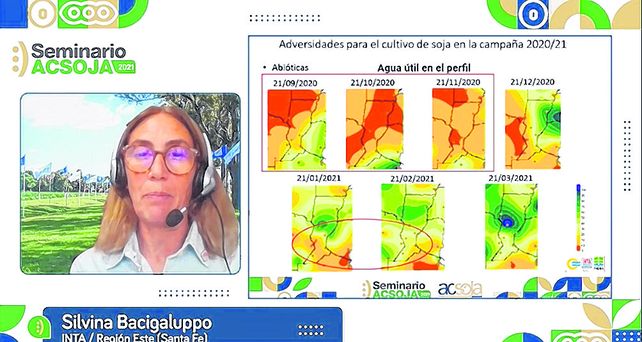 Bacigaluppo, de Inta Oliveros planteó la situación de la soja en la provincia de Santa Fe.