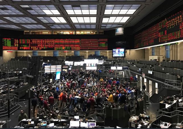 El mercado de Chicago reacción al alza tras conocerse el informe del Usda. El mercado de Chicago reacción al alza tras conocerse el informe del Usda.