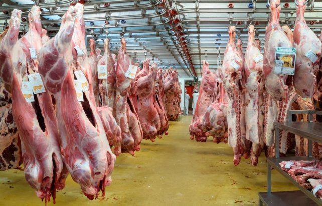 El último informe del Usda señaló que el comercio de carnes de Argentina pasará de 840 mil toneladas a 675 mil