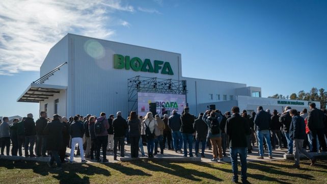 La puesta en marcha de la plata de AFA demandó una inversión de 6 millones de dólares. La puesta en marcha de la plata de AFA demandó una inversión de 6 millones de dólares.