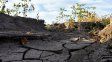 Cultivos. La falta de agua y heladas agravadas por la sequía vuelven a poner en jaque al trigo de la región. Cultivos. La falta de agua y heladas agravadas por la sequía vuelven a poner en jaque al trigo de la región.