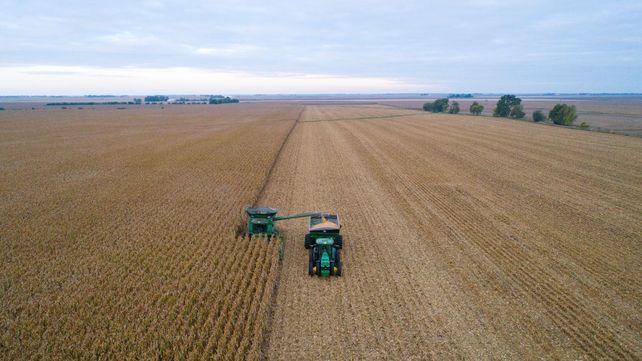 Impacto en la cadena de pagos. La firma Surcos registr&oacute; un  default de u$s500 mil, mientras que Los Grobo Agropecuaria y Agrofina acumulan deudas impagas por u$s100.000 y $400 millones, respectivamente.