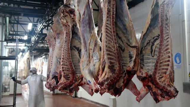 Al mundo. Las exportaciones movilizan el aumento de la producción de carne vacuna