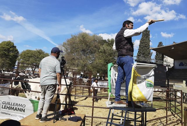 Martillero Tschieder