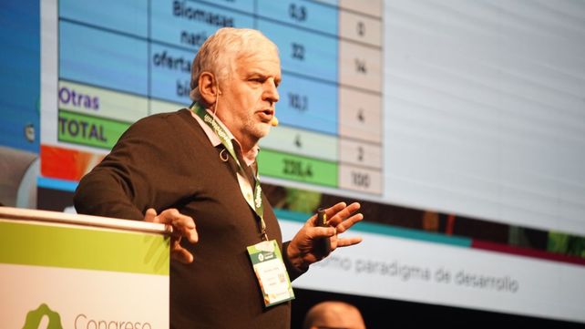 Villela. El especialista de la Fauba se refirió a la biomasa. Villela. El especialista de la Fauba se refirió a la biomasa.