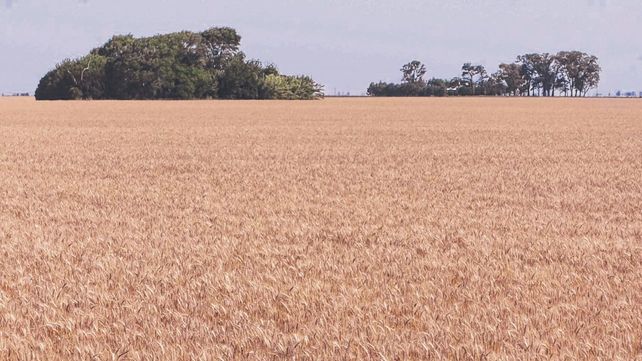 Tras una sequía histórica, el nuevo ciclo agrícola arranca con condiciones muy complejas. Tras una sequía histórica, el nuevo ciclo agrícola arranca con condiciones muy complejas.