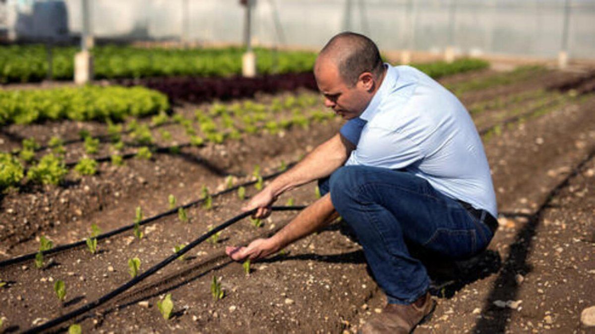 Technology for optimal irrigation and fertilization