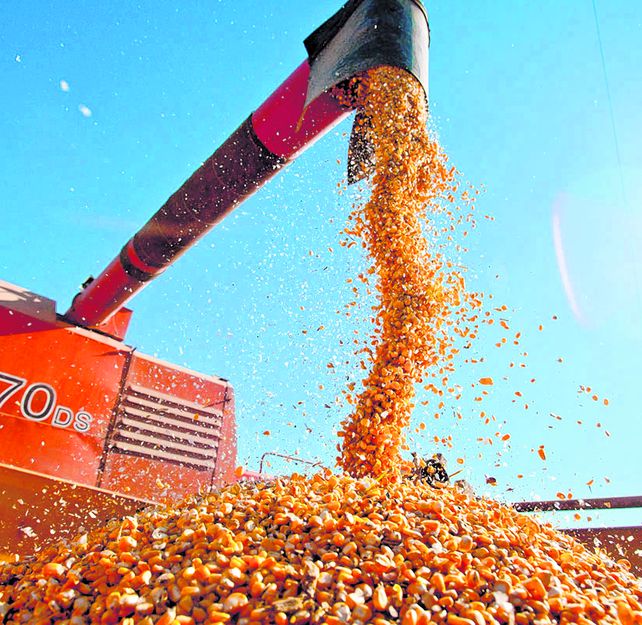 Príncipe dijo que los pequeños productores "ahora tenemos menos rentabilidad que antes de la devaluación". Príncipe dijo que los pequeños productores "ahora tenemos menos rentabilidad que antes de la devaluación".