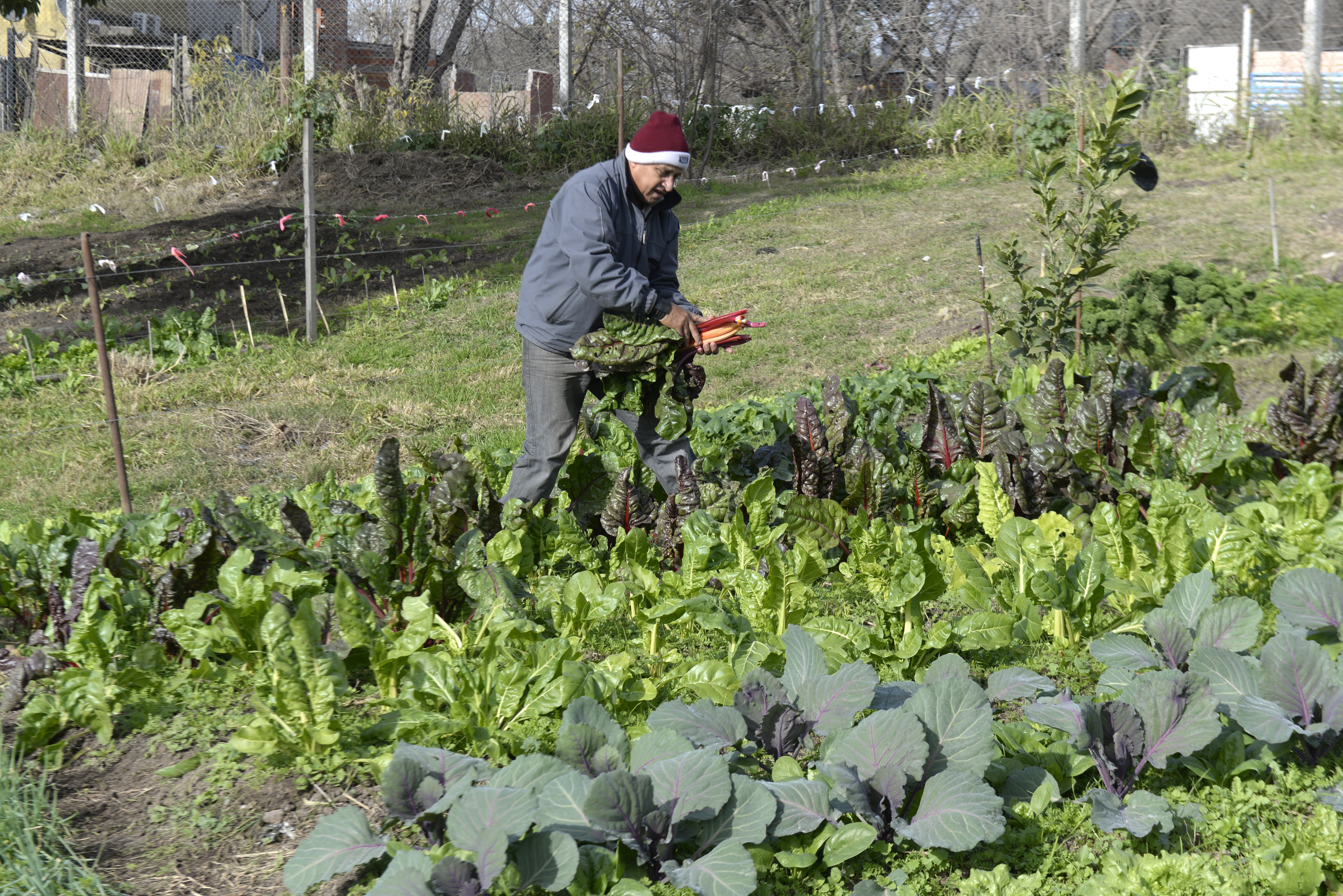 El Ministerio de Agricultura lanzó créditos para pequeñas y medianas producciones. El Ministerio de Agricultura lanzó créditos para pequeñas y medianas producciones.