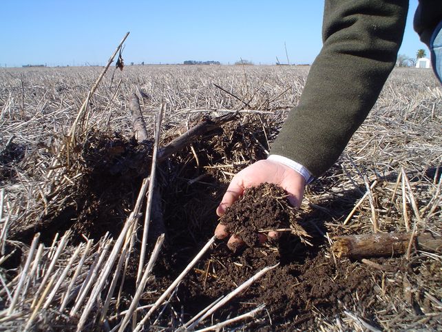 Por el suelo. Las prácticas para cuidar el recurso profundizan la captura de carbono.