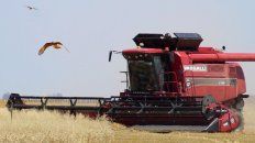 Más producción. La nueva gerencia tiene por objetivo duplicar el nivel de productividad de la empresa. Más producción. La nueva gerencia tiene por objetivo duplicar el nivel de productividad de la empresa.