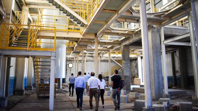 La planta de Keclon. La planta de Keclon.