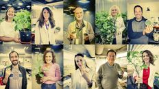 ibr y la fascinacion por las plantas ibr y la fascinacion por las plantas
