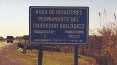 Integración. En la autopista se puso en marcha el corredor biológico hace una década para equilibrar un ecosistema alterado por el monocultivo. Integración. En la autopista se puso en marcha el corredor biológico hace una década para equilibrar un ecosistema alterado por el monocultivo.