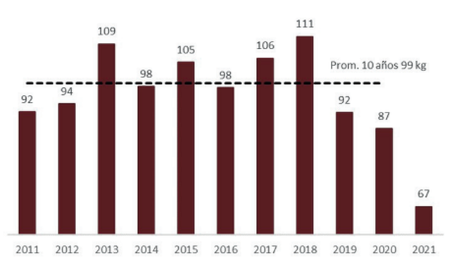 Relaci&oacute;n de compra del ingreso medio argentino (Ministerio de Trabajo), en kilos de carne vacuna (IPCVA), medidos al segundo trimestre de cada a&ntilde;o.