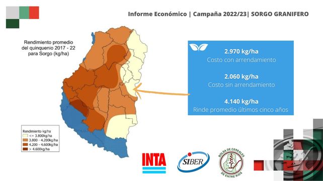 Entre Ríos: cuántos kilos de sorgo se necesitan para cubrir costos