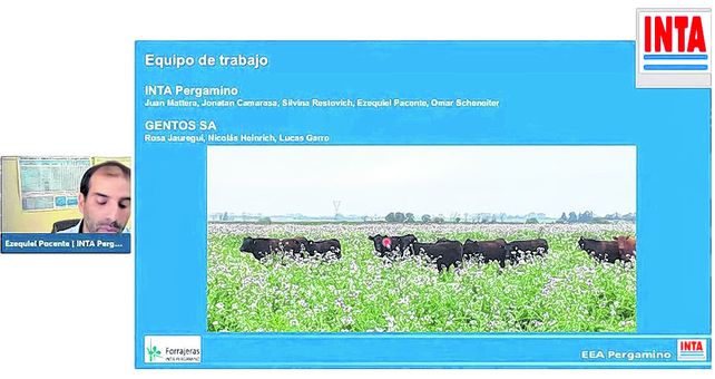Pacente (Pergamino) mostró la experiencia de cultivos de cobertura bajo pastoreo en sistemas mixtos.
