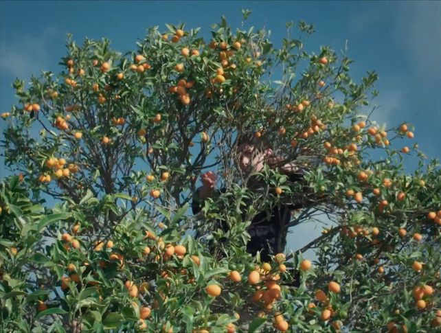 Paisajes. El pueblo se convirtió en un set de filmación.
