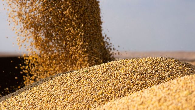 El Usda estimó una caída de los stocks de soja. El Usda estimó una caída de los stocks de soja.