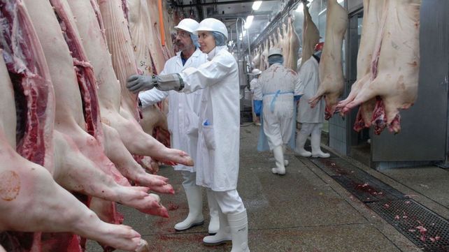 La carne de cerdo se adapta f&aacute;cilmente a diversas preferencias culinarias.