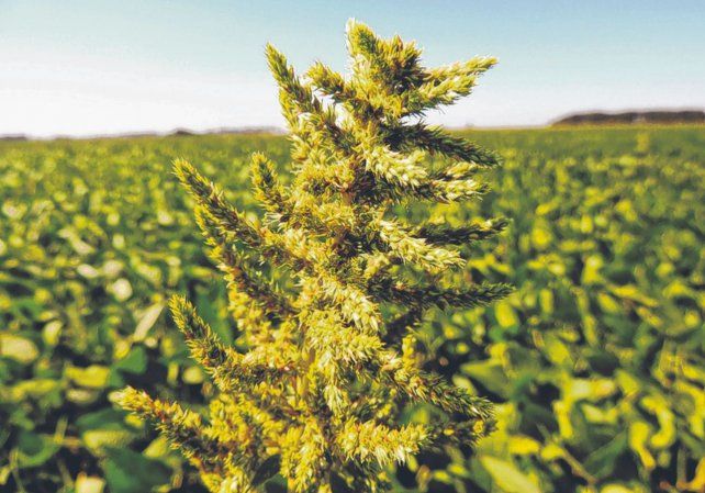 agro-06_lc_73934269__15-04-2021__0x0jpg