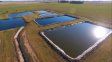 Cómo transformar un problema en una solución: uso agronómico de compost en feedlot Cómo transformar un problema en una solución: uso agronómico de compost en feedlot