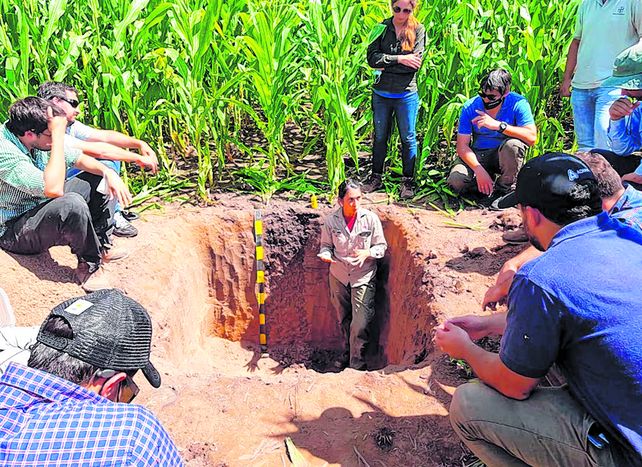 Radiografía. Aapresid insiste con prácticas agronómicas que favorezcan la salud de los suelos. Radiografía. Aapresid insiste con prácticas agronómicas que favorezcan la salud de los suelos.
