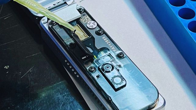 Chicharrita. Esta investigación proporcionará información para entender la biología, distribución y evolución del insecto. Chicharrita. Esta investigación proporcionará información para entender la biología, distribución y evolución del insecto.