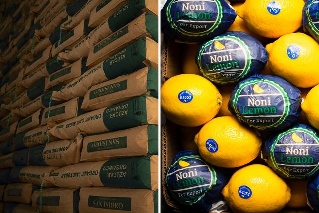 Diversificación de negocios hacia la citricultura y la industria azucarera.