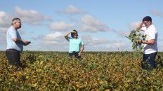 una biosolucion le devolvio hectareas donde antes no crecia nada una biosolucion le devolvio hectareas donde antes no crecia nada