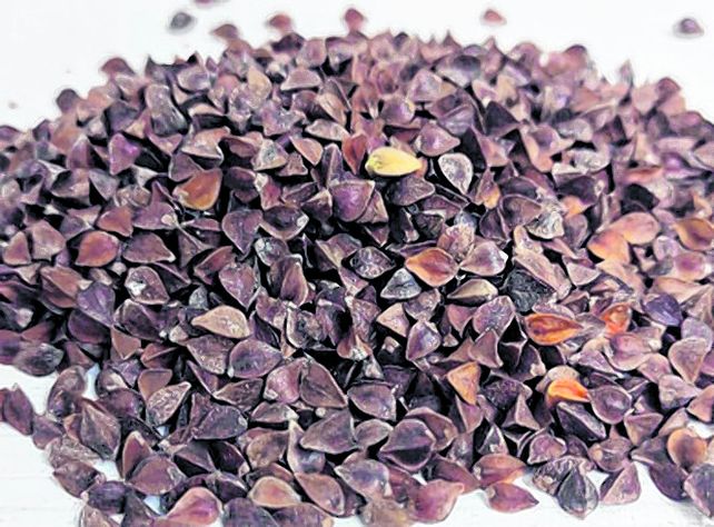 Potente. El trigo sarraceno no tiene gluten y es apto para celíacos. Potente. El trigo sarraceno no tiene gluten y es apto para celíacos.