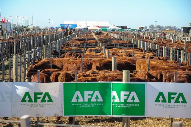 Agroactiva Ganadera será el espacio pecuario más importante del calendario agroindustrial argentino. Agroactiva Ganadera será el espacio pecuario más importante del calendario agroindustrial argentino.