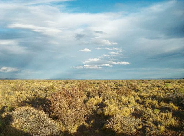 Las sequías afectan la producción de forraje.