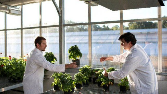Biocontrol agrícola con enzimas