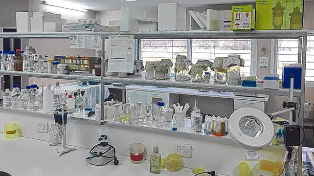 ciencia. Laboratorio del Instituto de Microbiología y Zoología Agrícola del Inta Castelar.