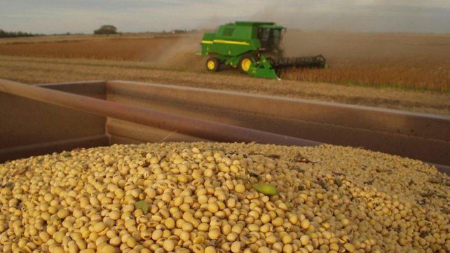 A Granel: asamblea AFA e inicio de cosecha de maíz para ASA
