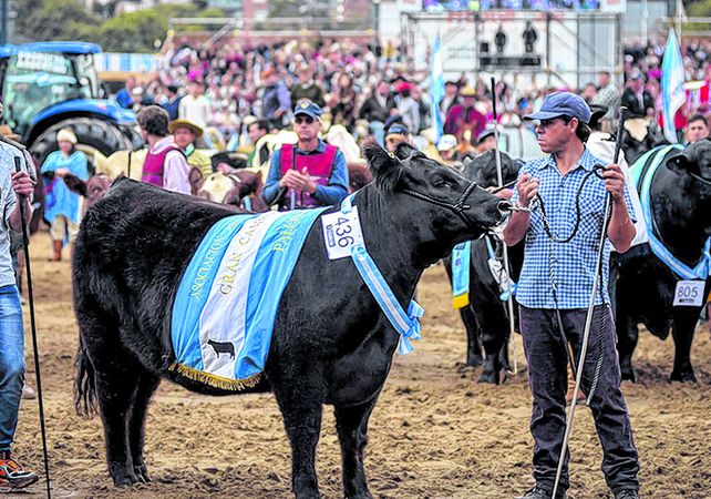 La entrega de premios a los campeones de distintas razas es una de las principales atracciones. La entrega de premios a los campeones de distintas razas es una de las principales atracciones.