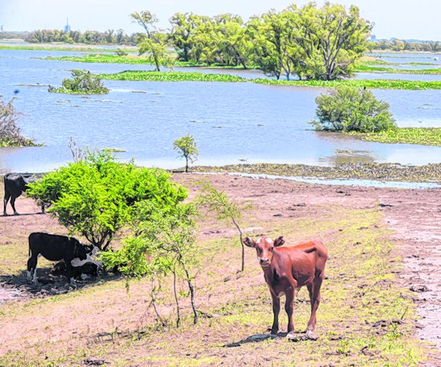 Evacuación. El pico de la crecida se espera entre el 15 y 20 de noviembre. Evacuación. El pico de la crecida se espera entre el 15 y 20 de noviembre.