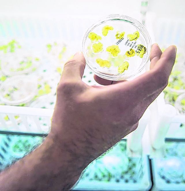 Academia. Las bio tienen gran vinculación con organismos públicos. Academia. Las bio tienen gran vinculación con organismos públicos.