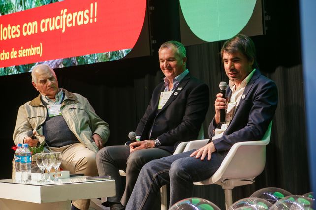 Productores y asesores de tres zonas productivas relataron su experiencia con cultivos de servicio.