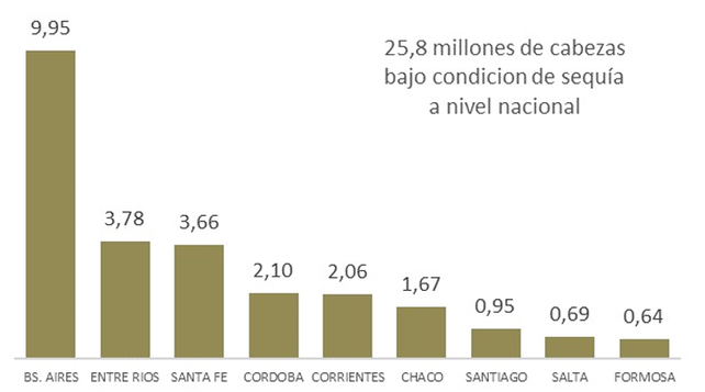 Millones de cabezas de ganado vacuno en áreas afectadas por la sequía, en base a datos del SENASA y SISSA.